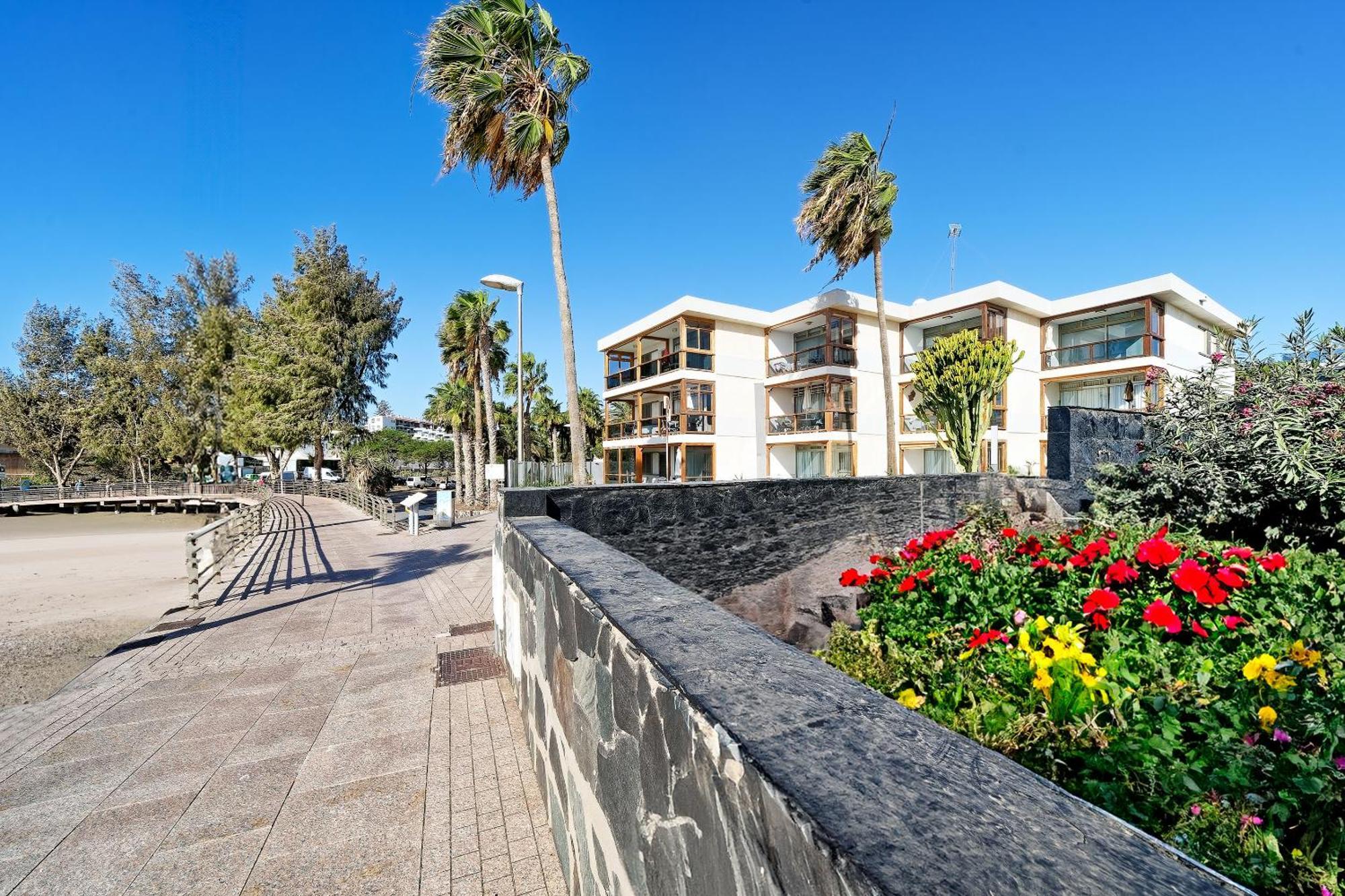 Apartamentos Los Papagayos San Agustín Dış mekan fotoğraf